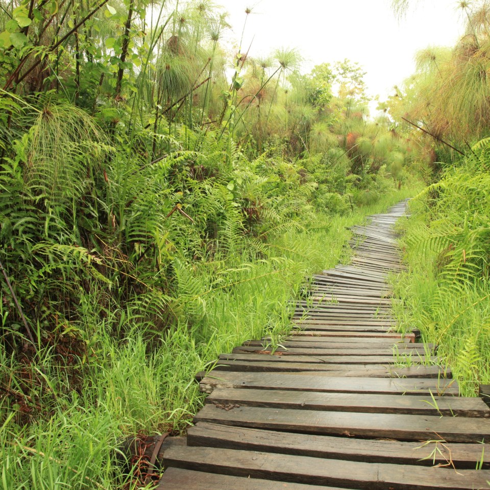 Churchill's Erbe: die grüne Perle Afrikas